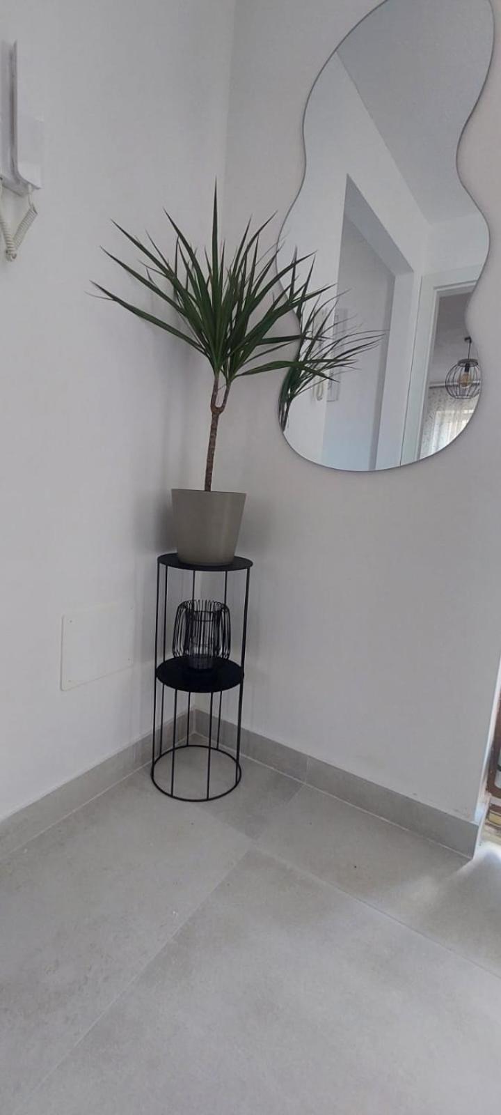 Apartment Olive Kastela Luaran gambar